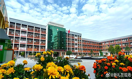 阳光灿烂  魅力阳光